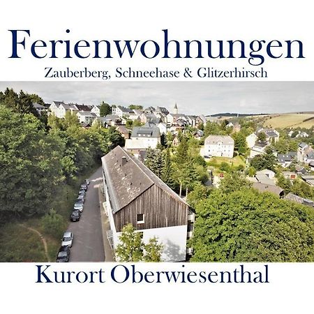 Ferienwohnungen Zauberberg, Schneehase & Glitzerhirsch Oberwiesenthal Dış mekan fotoğraf