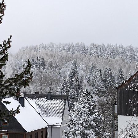 Ferienwohnungen Zauberberg, Schneehase & Glitzerhirsch Oberwiesenthal Dış mekan fotoğraf
