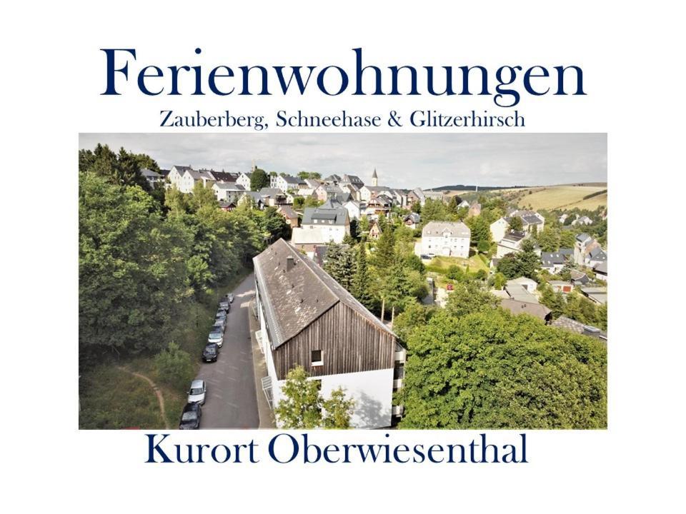 Ferienwohnungen Zauberberg, Schneehase & Glitzerhirsch Oberwiesenthal Dış mekan fotoğraf